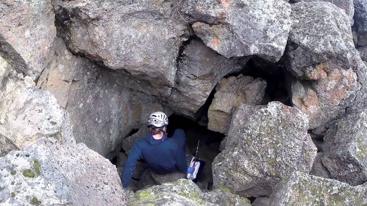 cave tours white nose syndrome