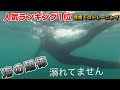 館山トライアスロン現地練習してみたら