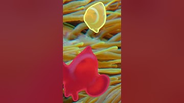 Introducing Meta