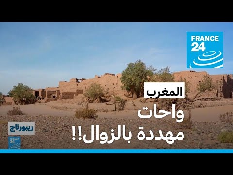    --  !!   24 / FRANCE 24
 - نشر قبل 25 دقيقة