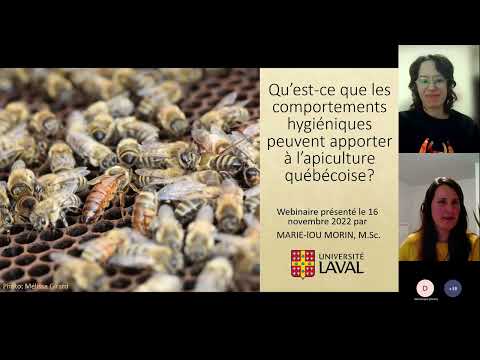 Vidéo: Qu'est-ce que les acariens : en savoir plus sur le contrôle des acariens pour les abeilles domestiques
