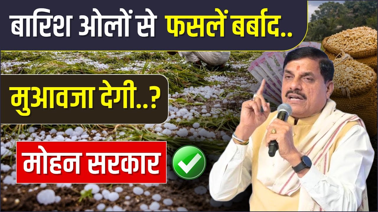 MP में फसल बर्बाद - मुआवजे पर बड़ा अपडेट | MP Agriculture News January 2026