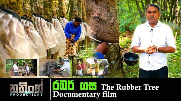 The Rubber Tree - රබර් ගස |  Documentary film