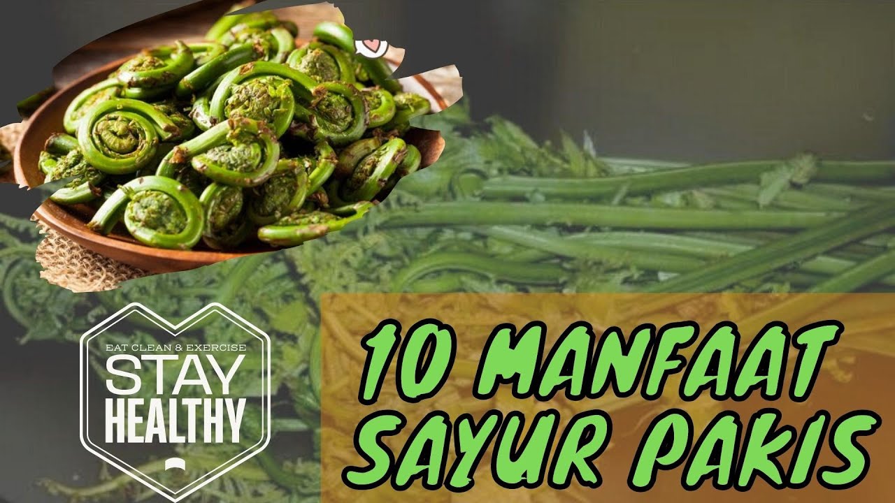 10 MANFAAT SAYUR PAKIS YANG KAYA NUTRISI