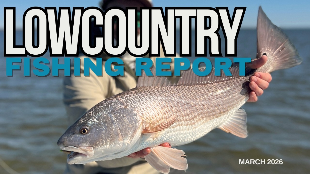 person holding a large redfish