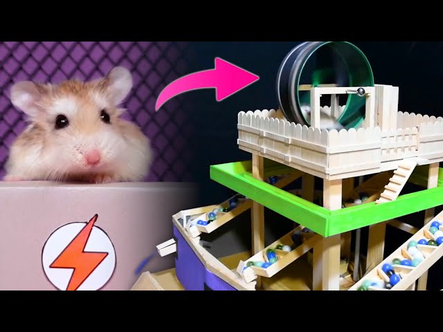 Hamster Land - Cute Pets Hamsters Column Matches Up Games