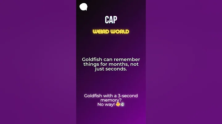 Do Goldfish Really Have a 3-Second Memory? 🐠⏱️