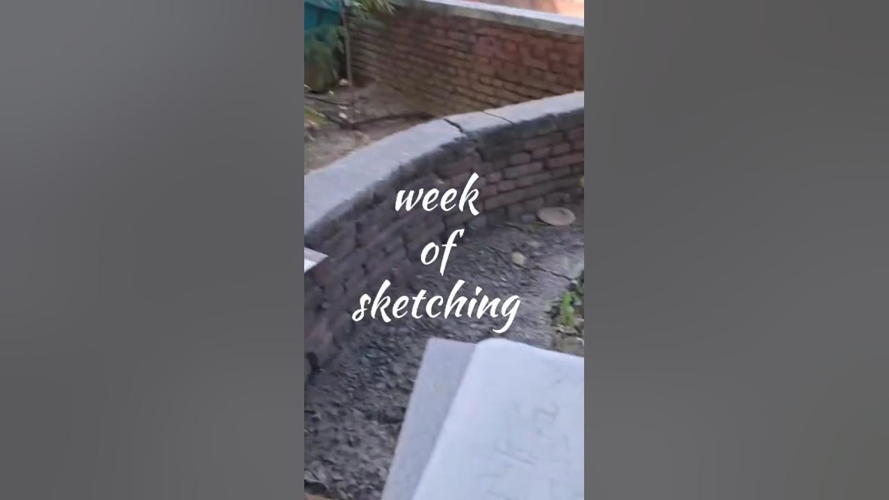 Week of sketching trending art drawing youtubeshorts shorts 