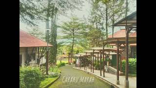 Download Mp3 Nadin Amizah - bertaut (lirik) cover by belinda permata Gudang lagu Download Mp3 Nadin Amizah - bertaut (lirik) cover by belinda permata