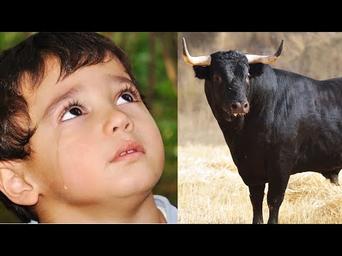 როდის მოვკვდები?! ჰკითხა ბიჭმა ნათელმხილველს,მას უპასუხა ნათელმხილველმა როდის და როგორ...