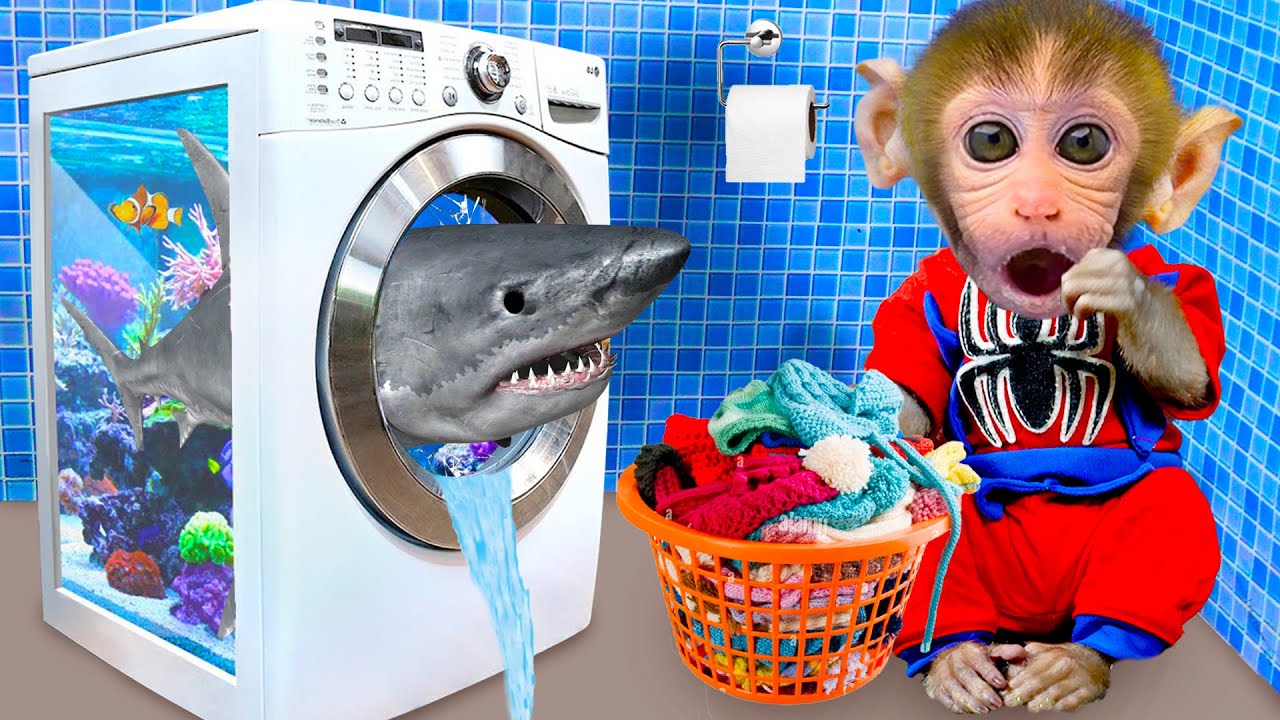 Bon Bon Monkey transformed Washing Machine into a Fish Tank and The End So funny