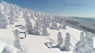 Monsters in the North: Frosted “Juhyō” Trees on Akita’s Mount Moriyoshi | Nippon.com: Japan in Video by Nippon.com: Japan in Video 425 views 1 year ago 2 minutes, 9 seconds