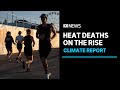 Heat-related deaths could increase fivefold by middle of 21st century, report says | ABC News