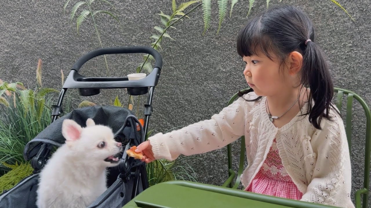 도아를 좋아하는 오빠 썰 들은 아빠 반응?ㅣ애개육아