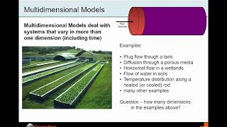 Biosystems Modeling and Analysis: Multidimensional Models