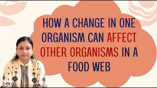 FOOD WEB Science Question | How a Change in One Organism Can Affect Other Organisms