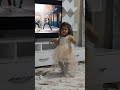 BTS Eşliğinde Dans Eden Down Sendromlu Kardeşim