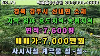 [72 .경주 산내면 계곡물 철~철 토심깊은 임야] 농막이나 컨테이너 설치하여 자연인 생활 가능하며, 토질이 좋고 토심이 깊어 모든 임산물 재배 가능한 경주 산내면 임야입니다~~~