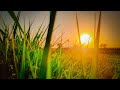 Morning Walk Travel Vlog | A Peaceful Start to the Day 🌄💬