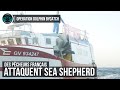 Des pcheurs franais attaquent sea shepherd