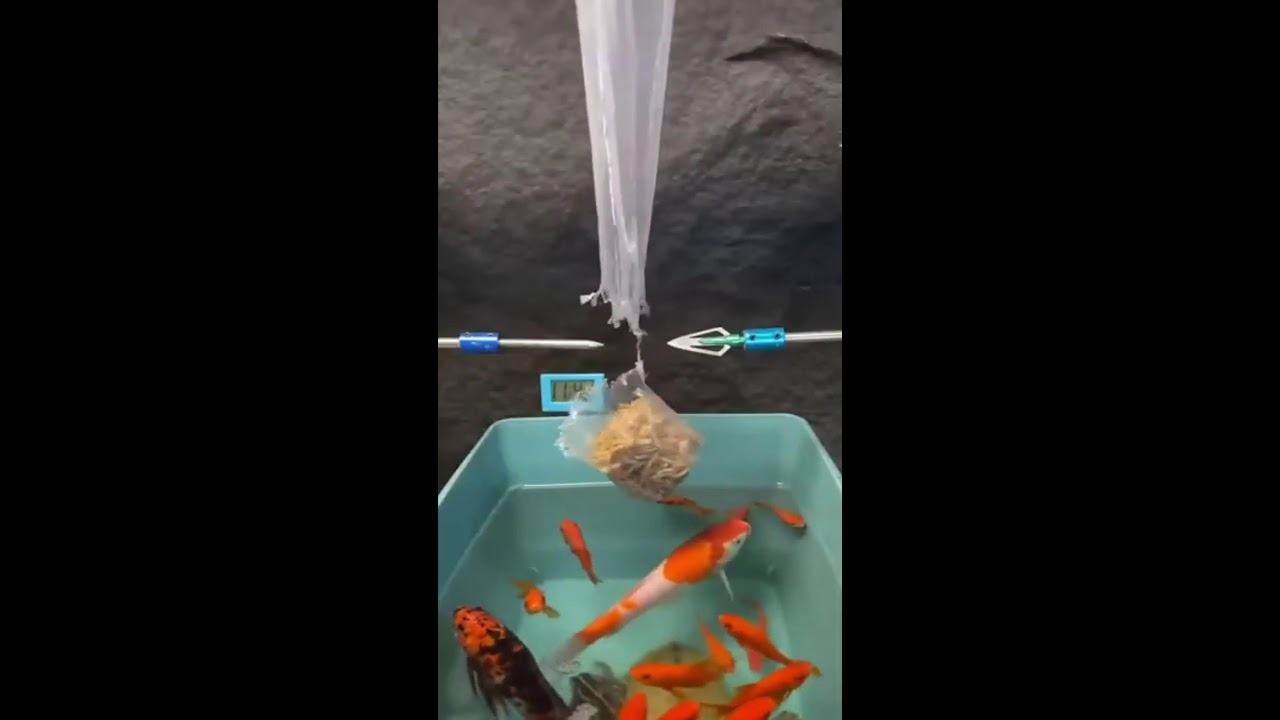 СТРИМ ШОРТС ИГРАЕМ