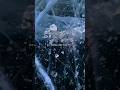Dil Todna Hi Tha To 💔 || Rani Indrani Sharma || _pure_l_ove_ || #shorts #song #sad #sadstatus #feed