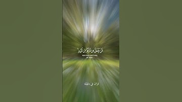قران كريم ارح قلبك وسمعك #قران_في_دقيقة #quran #رعد_الكردي #المصحف  #قرآن @قران_في_دقيقة