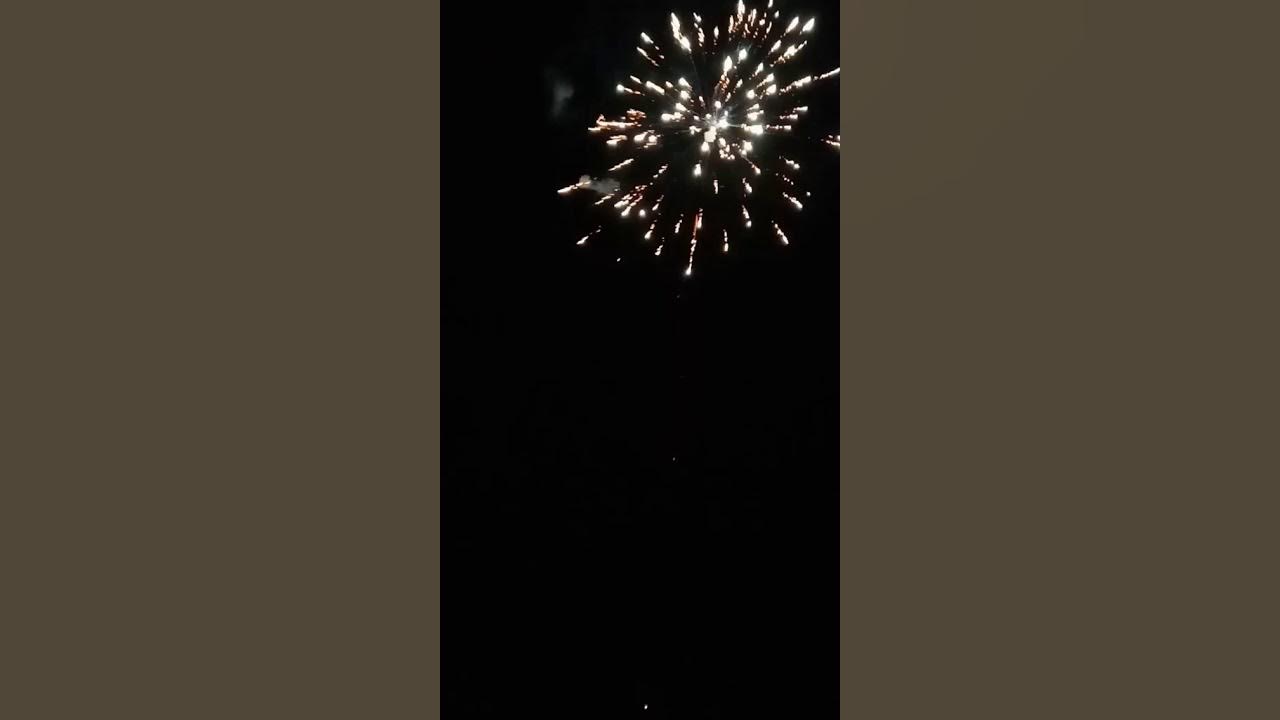 20 выстрелов. 20 выстрелов