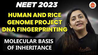 Molecular Basis of Inheritance Class 12 - L8 | Human & Rice Genome Project | NEET 2023 Biology