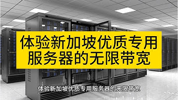 体验新加坡优质专用服务器的无限带宽 - Raksmart