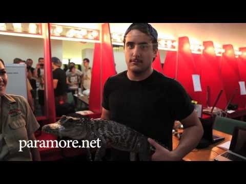 Paramore: Alligator Meet & Greet