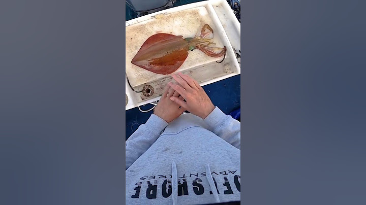 One Chop Calamari