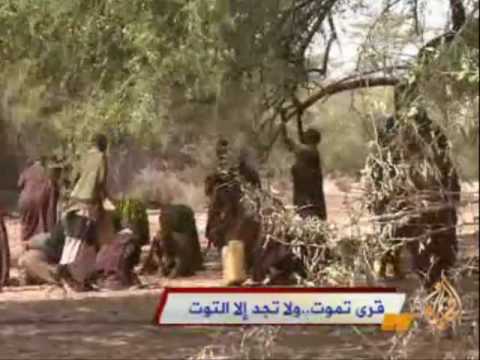 قرى تموت ولا تجد إلا التوت