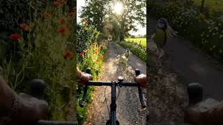 Relaxing Bike Ride Through Beautiful Countryside