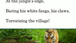 A Tiger in the zoo explanation and literary devices