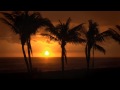 Sunrise with Palmtrees on the Beach