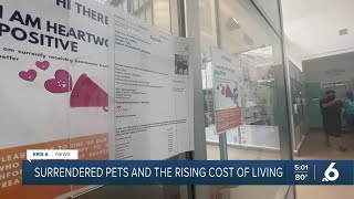 More animals are being surrendered by their owners