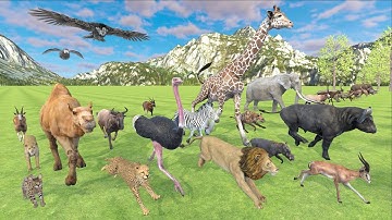 African Animal Speed Comparison - Realistic 3D Animation Comparison