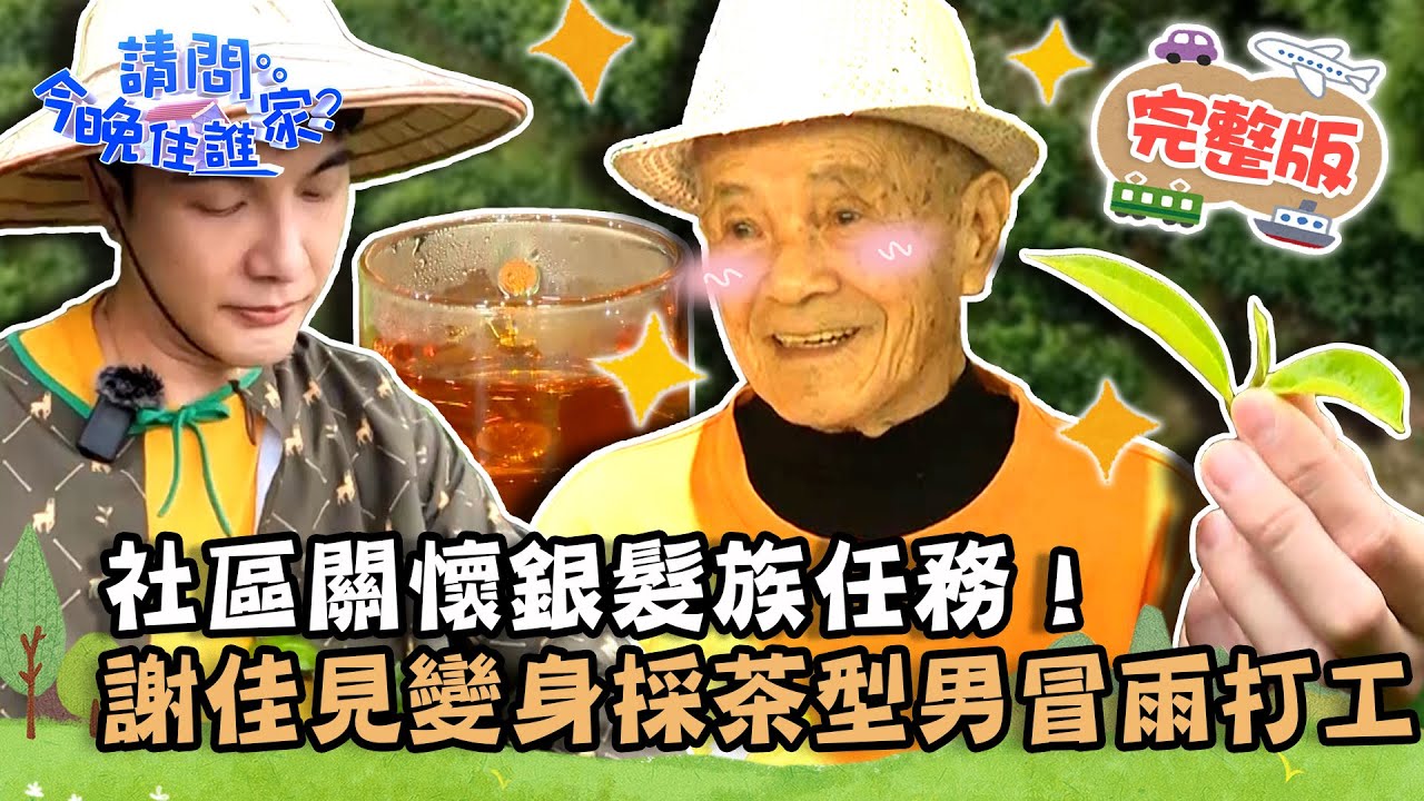 hohocha YouTube直播