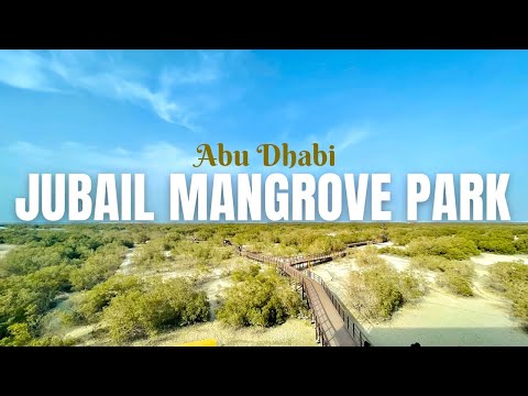Jubail mangrove park Abudhabi | Mangroves in Abu dhabi | Jubail Island-Abu dhabi