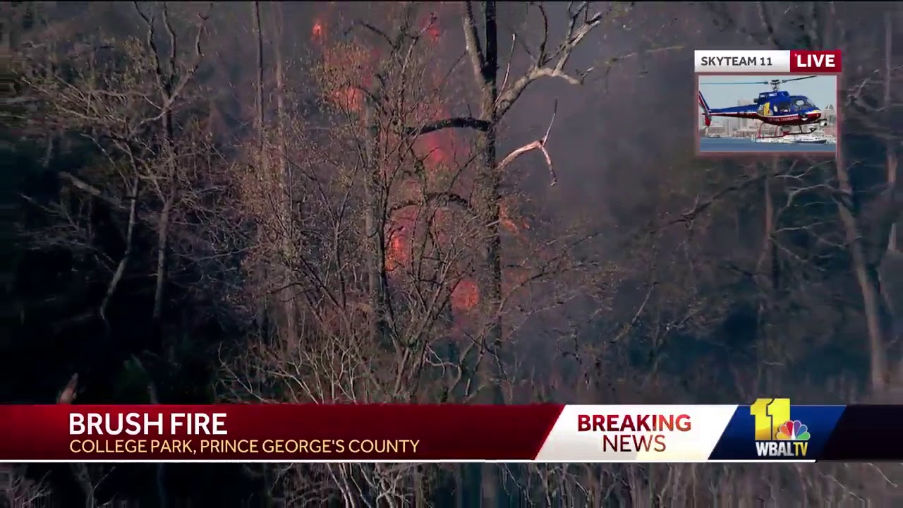Firefighters battle brush fire in College Park - YouTube