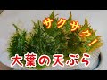 25 ++ しそ 花 天ぷら 105406-しそ 花 天ぷら