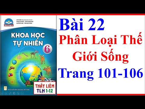 Video Khoa Học Tự Nhiên Lớp 6 Bài 22 | Phân Loại Thế Giới... - YouTube
