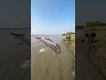 Amazing river side castnet fishing #fishingvideo #fishinglife #castnetfishing