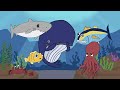 Slippery fish a funny song for kids by amy liz