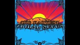 Tribal Seeds - Come Around