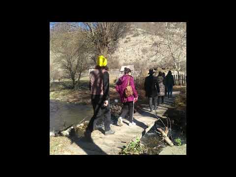 გორის N12 საჯარო სკოლის ეკოკლუბი გარემოსდაცვით კონკურსში აქტიურადაა ჩართული