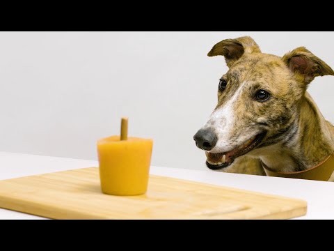 Homemade Dog Ice Lolly | Made in Battersea