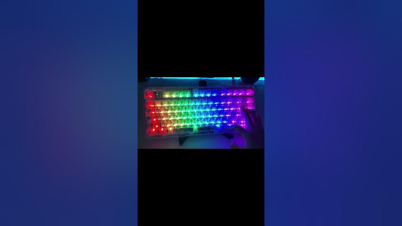 Yunzii coolkiller ck75 polar bear mechanical keyboard review shorts