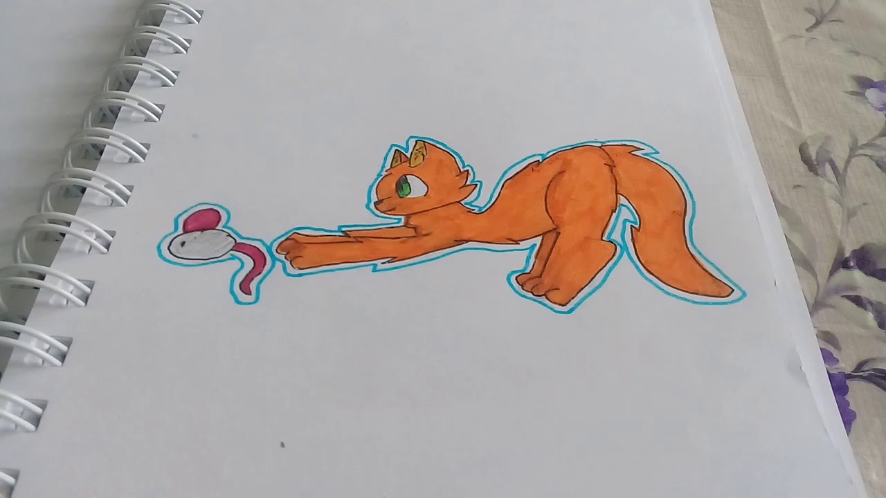 Lapka kate рисунки